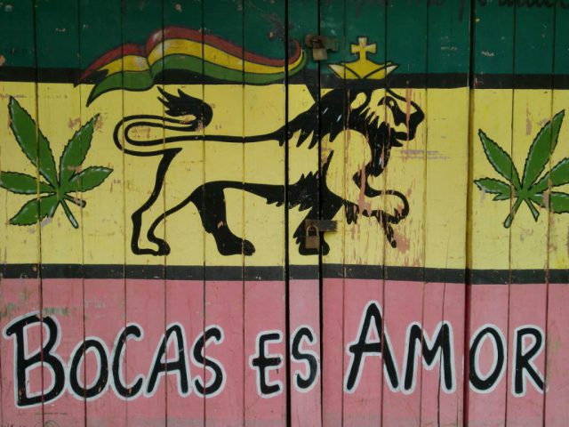 CIMG0564 1024x768 640x480 - CIMG0564 - 1024x768