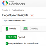 Google PageSpeed Insights Perfect Score - mobile