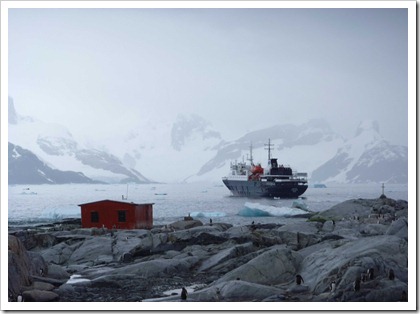 P1080064 thumb - Travel Tips: Antarctica (Antártida) Travel Guide