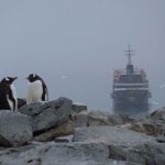 P1080082 1024x768 150x150 - Travel Video: Antarctica (Antártida) Videos