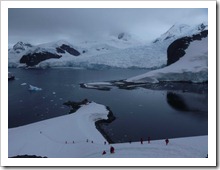 P1080315 thumb - Travel Tips: Antarctica (Antártida) Travel Guide